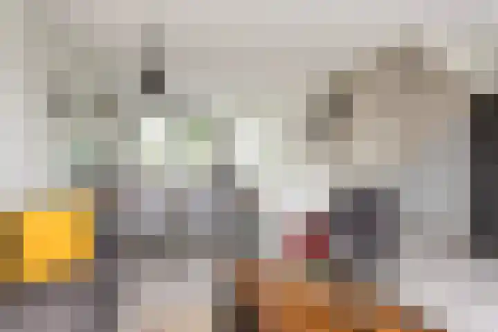 Glazenmaker 34 Epe thumbnail 4