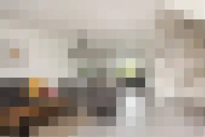 Glazenmaker 34 Epe thumbnail 6