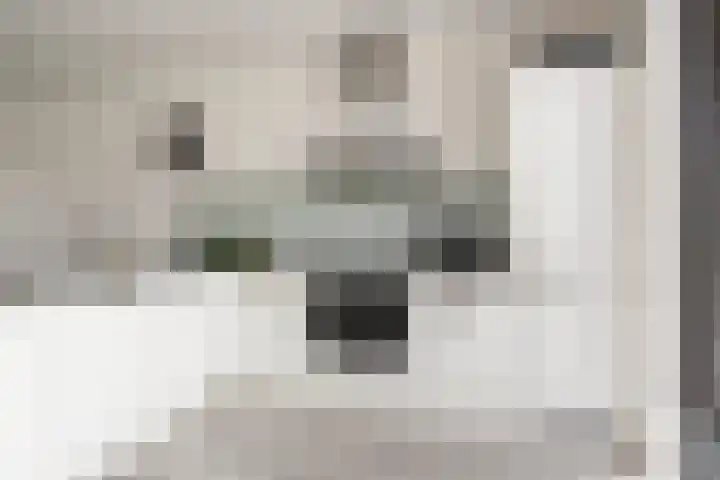 Glazenmaker 34 Epe thumbnail 7