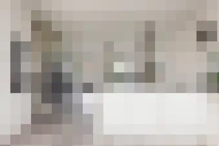 Glazenmaker 34 Epe thumbnail 8