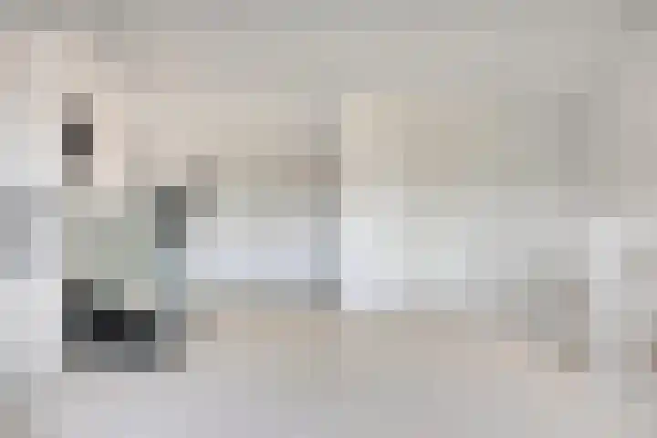 Glazenmaker 50 Epe thumbnail 21