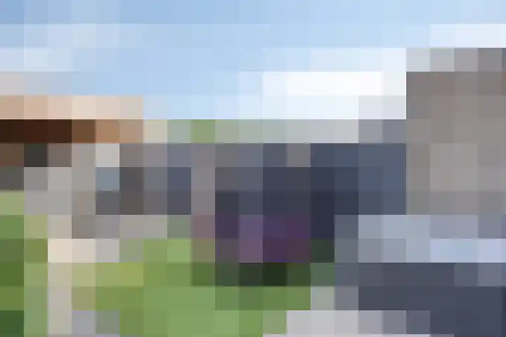 Glazenmaker 50 Epe thumbnail 27