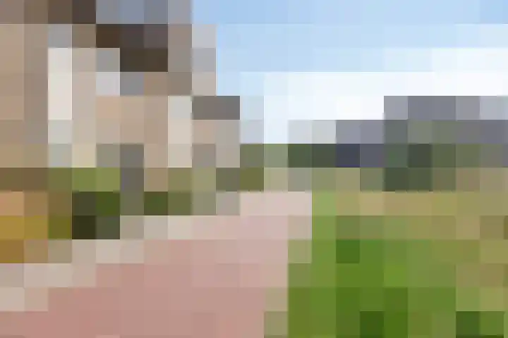 Glazenmaker 50 Epe thumbnail 30