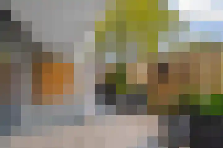 Gleditsiastraat 39 Almere thumbnail 34