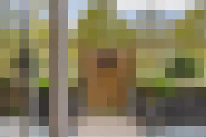 Gleditsiastraat 39 Almere thumbnail 35