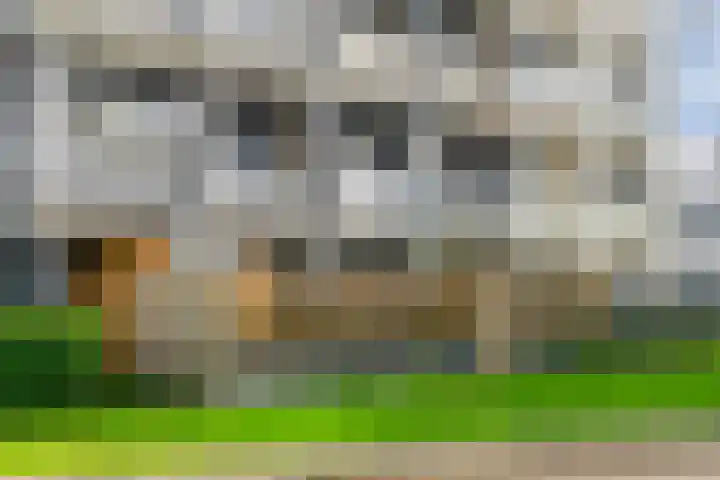 Gleditsiastraat 39 Almere thumbnail 36