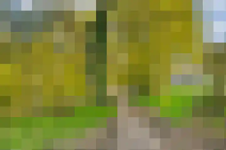 Gleditsiastraat 39 Almere thumbnail 39