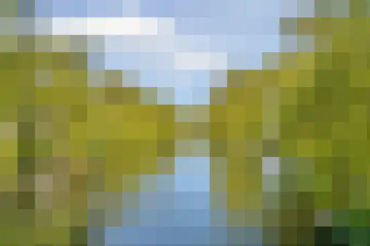 Gleditsiastraat 39 Almere thumbnail 44
