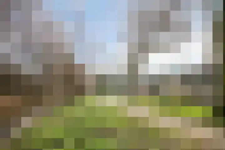 Glennhof 7 IJsselstein thumbnail 25