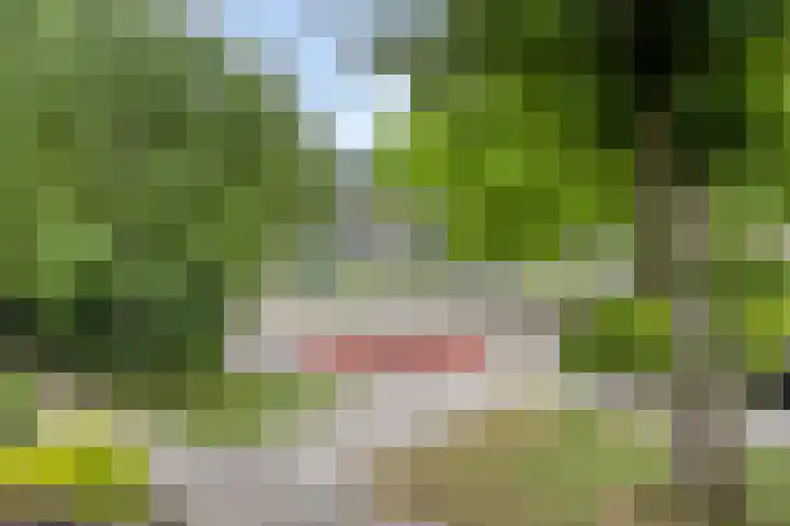 Glennhof 9 IJsselstein thumbnail 27