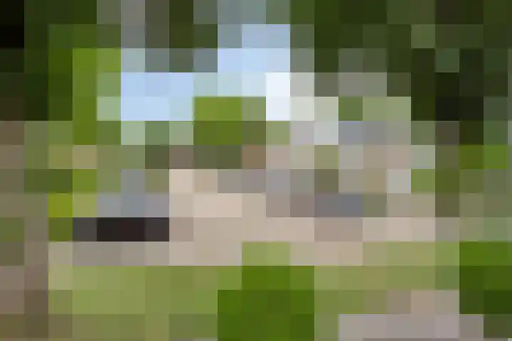 Glennhof 9 IJsselstein thumbnail 28