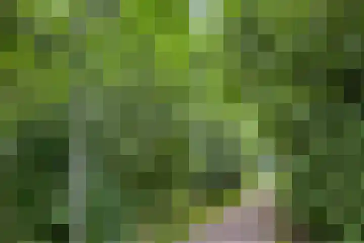 Glennhof 9 IJsselstein thumbnail 33