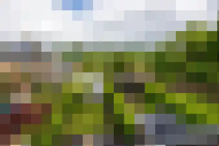 Glindhorst 6 De Glind thumbnail 29
