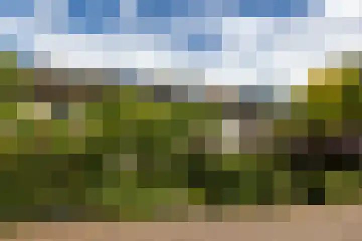 Glindhorst 6 De Glind thumbnail 32