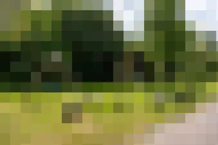 Glindhorst 6 De Glind thumbnail 35