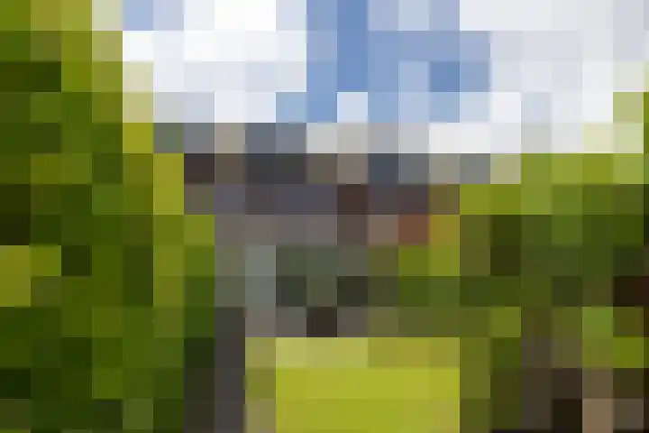 Glindhorst 6 De Glind thumbnail 38