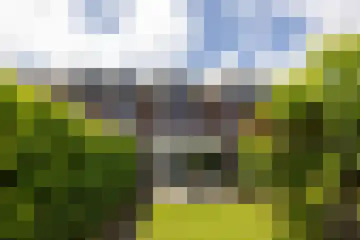 Glindhorst 6 De Glind thumbnail 39