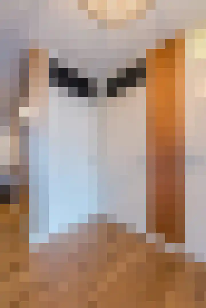 Globeplein 34 Almere thumbnail 23