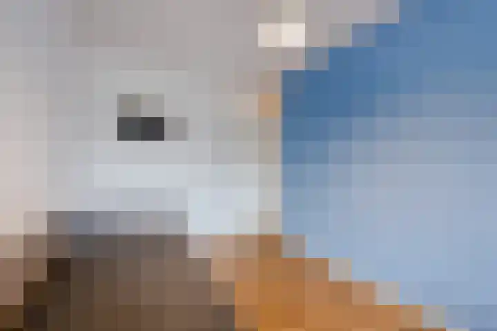 Globeplein 34 Almere thumbnail 27