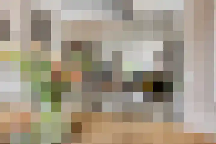 Glorialaan 28 Epe thumbnail 10
