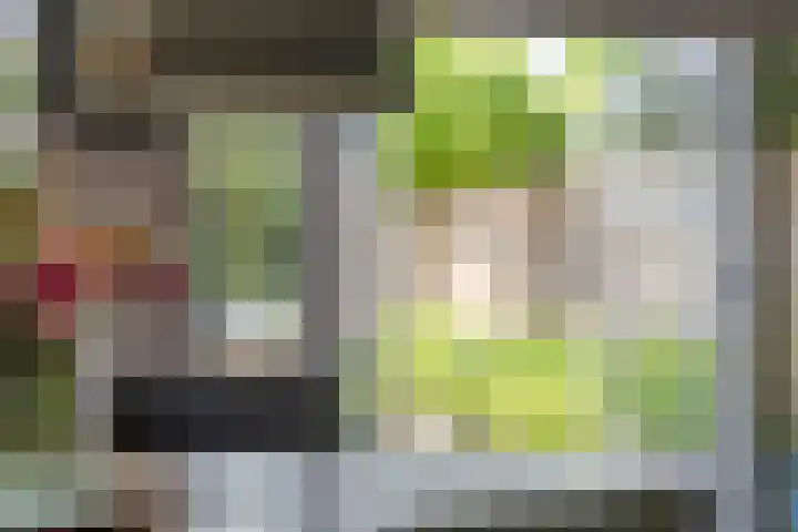 Glorialaan 28 Epe thumbnail 13