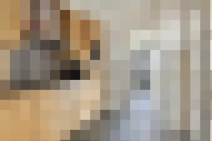 Glorialaan 28 Epe thumbnail 17