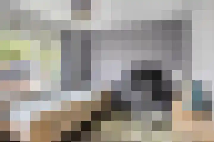 Glorialaan 28 Epe thumbnail 23