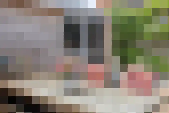 Glorialaan 28 Epe thumbnail 30