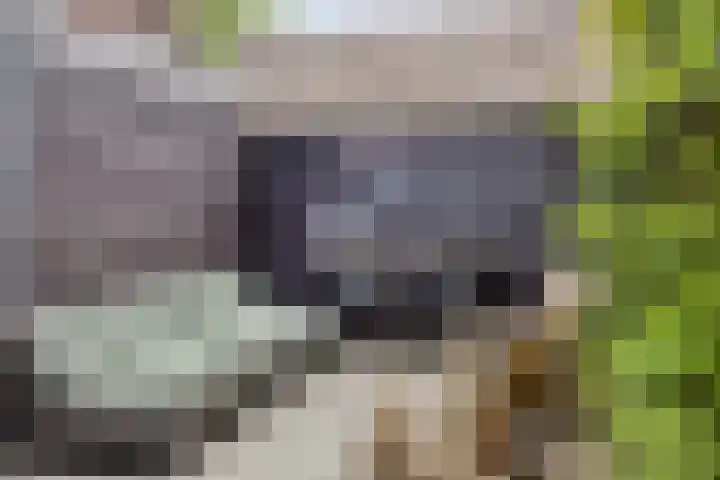 Glorialaan 28 Epe thumbnail 31