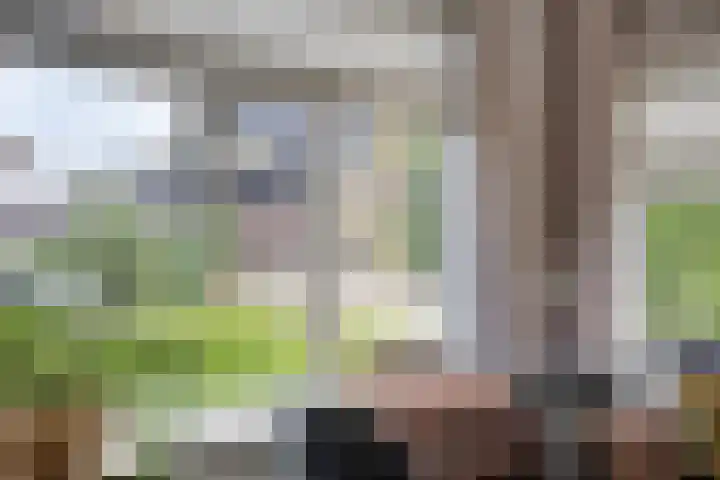 Glorialaan 28 Epe thumbnail 9