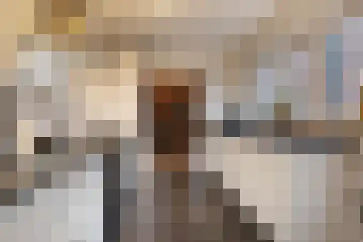 Glorialaan 3 Epe thumbnail 13