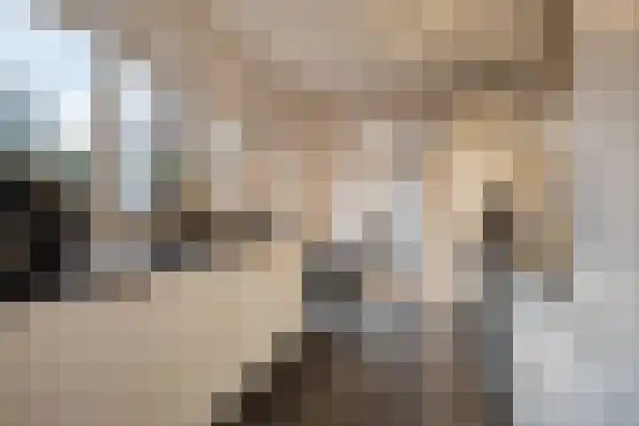 Glorialaan 3 Epe thumbnail 15