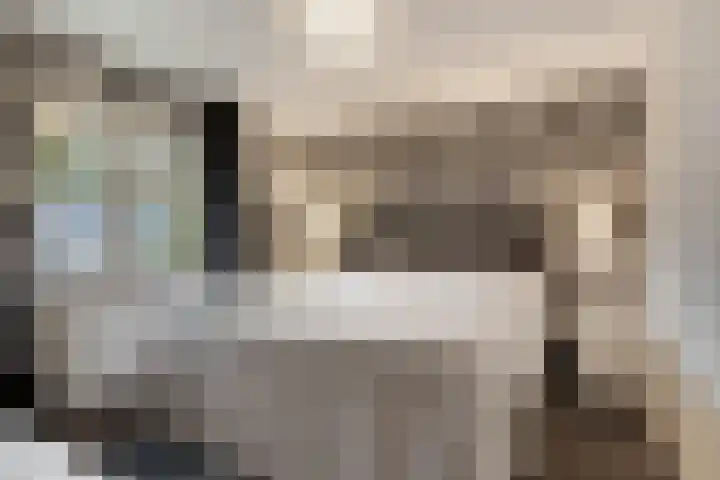 Glorialaan 3 Epe thumbnail 18