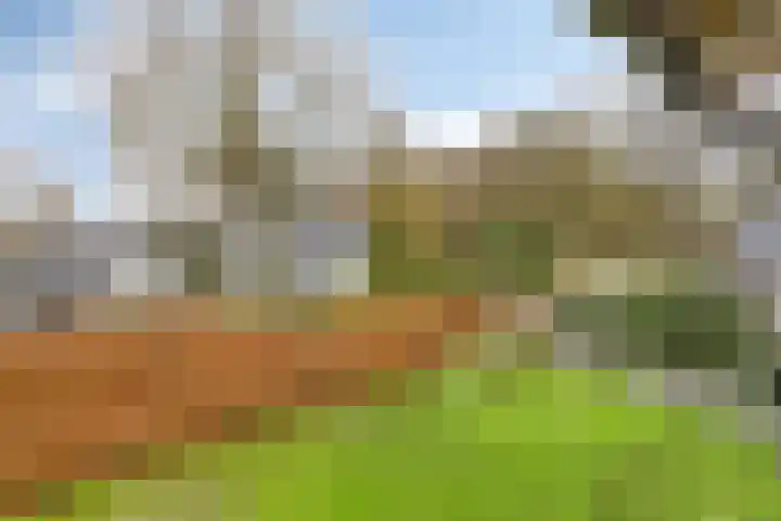 Glorialaan 3 Epe thumbnail 20
