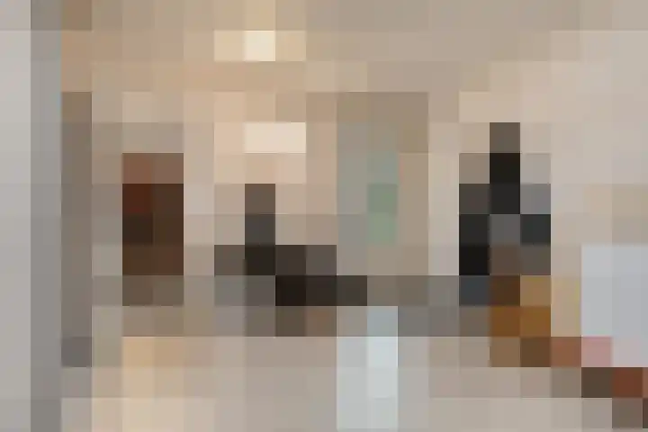 Glorialaan 3 Epe thumbnail 29