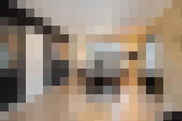 Glorialaan 3 Epe thumbnail 8