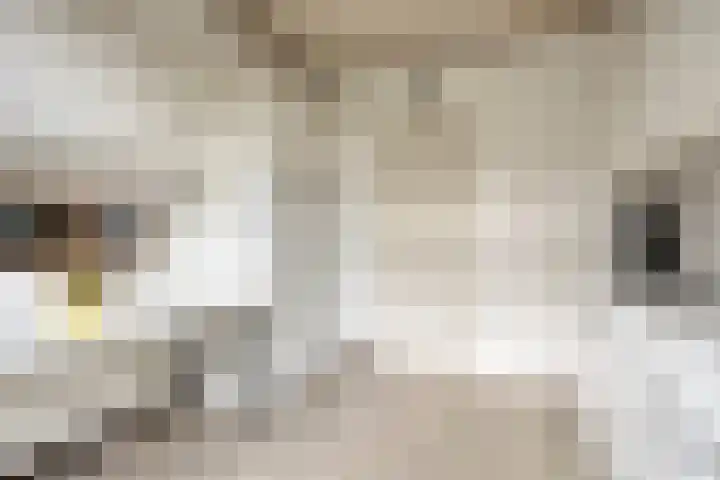 Glymesstraat 9 Wouw thumbnail 11