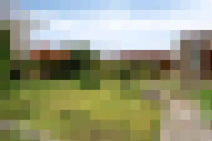 Glymesstraat 9 Wouw thumbnail 26