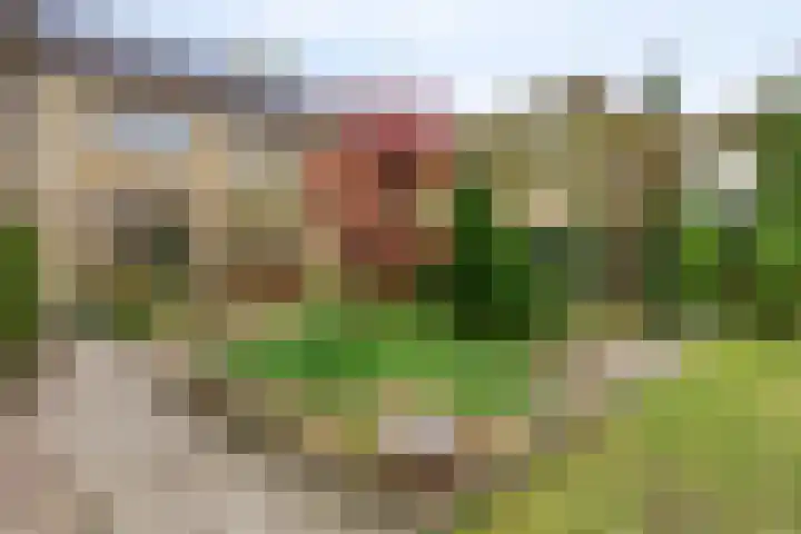 Glymesstraat 9 Wouw thumbnail 27