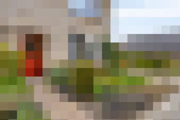 Glymesstraat 9 Wouw thumbnail 39