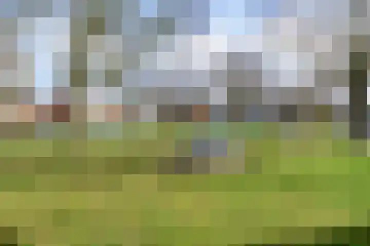 Glymesstraat 9 Wouw thumbnail 43