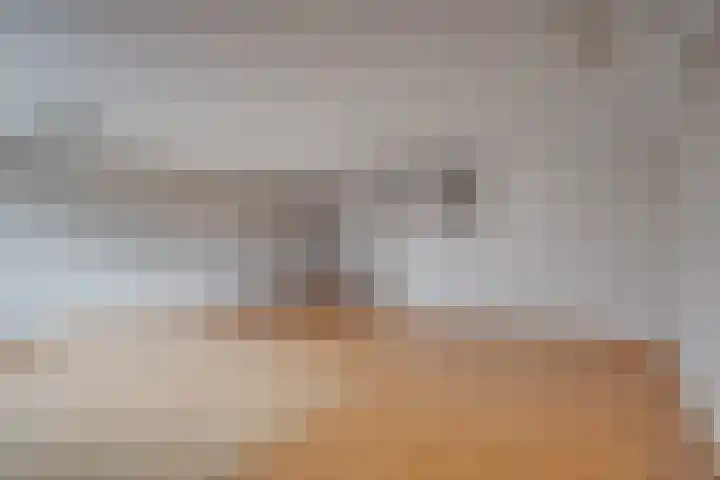 Godebaldstraat 3 Deventer thumbnail 17