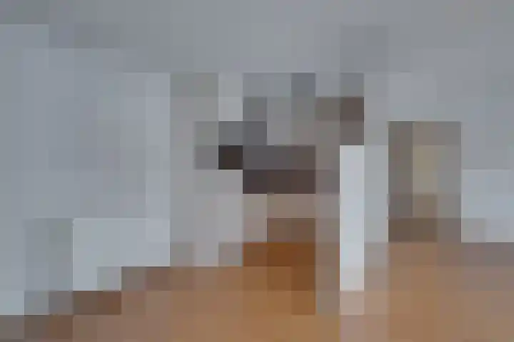 Godebaldstraat 3 Deventer thumbnail 19