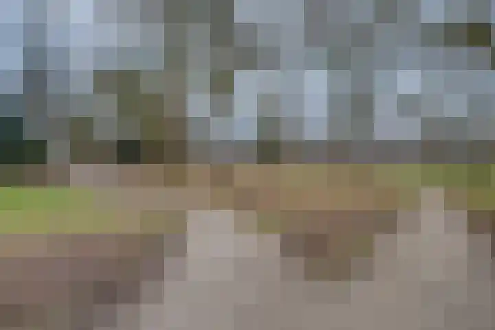 Godebaldstraat 3 Deventer thumbnail 42