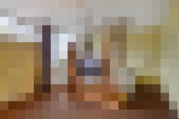 Godefriduslaan 16 Heerde thumbnail 27
