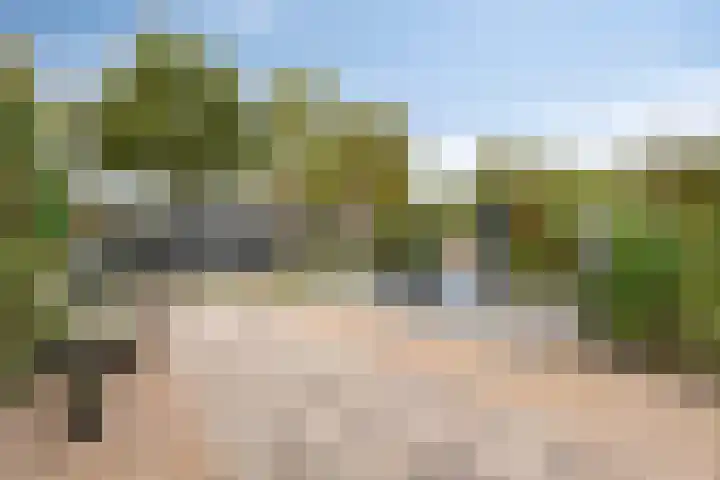 Godefriduslaan 16 Heerde thumbnail 48