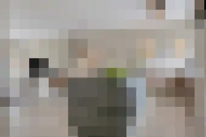 Godefriduslaan 16 Heerde thumbnail 6