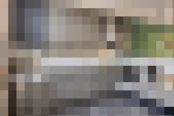 Godfried Bomanslaan 21 Bladel thumbnail 12
