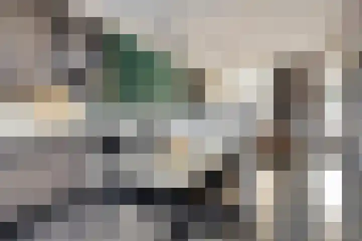 Godfried Bomanslaan 21 Bladel thumbnail 13