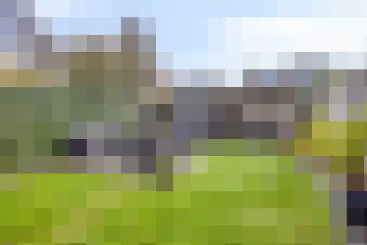 Godfried Bomanslaan 21 Bladel thumbnail 6